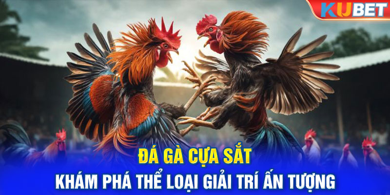 Đá Gà Cựa Sắt - Khám Phá Thể Loại Giải Trí Ấn Tượng